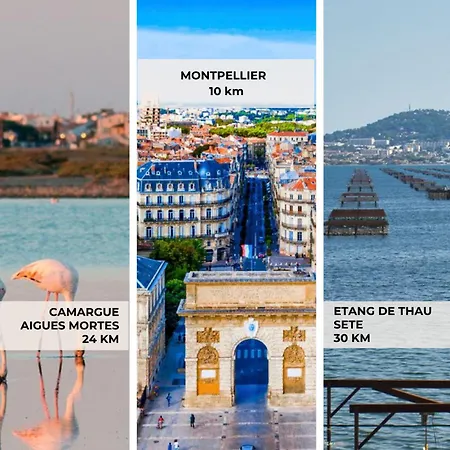 Terrasse Clim Wifi Park *