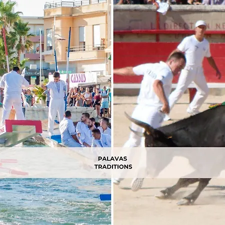 Appartement Terrasse Clim Wifi Park *