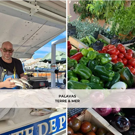 Terrasse Clim Wifi Park Palavas-les-Flots