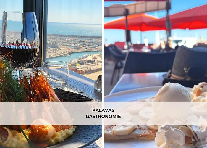 Terrasse Clim Wifi Park