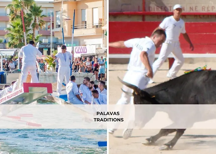 Apartamento Terrasse Clim Wifi Park *