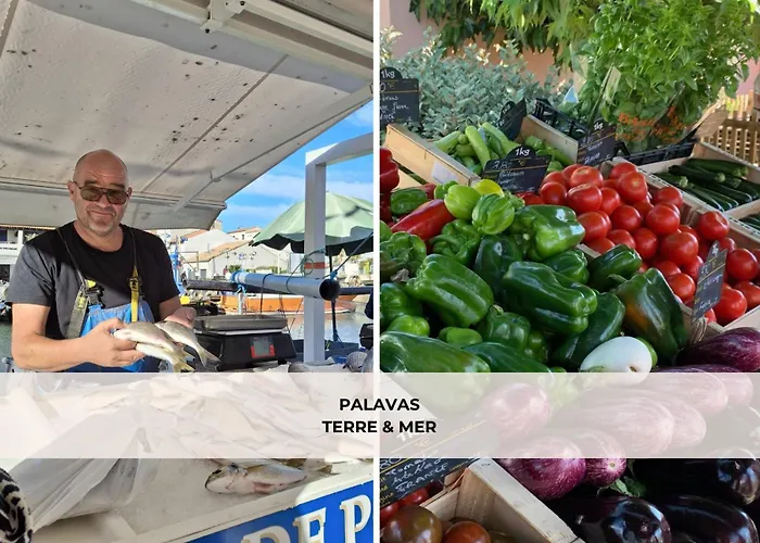 Terrasse Clim Wifi Park Palavas-les-Flots